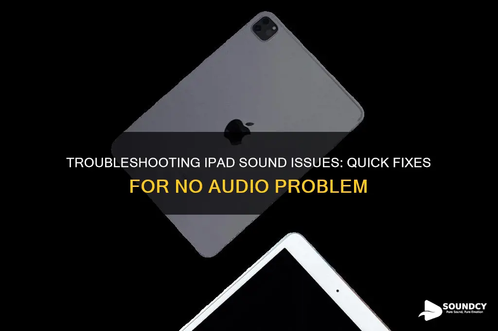 have no sound on ipad
