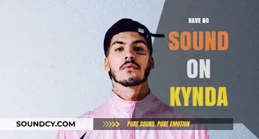 Troubleshooting Kynda: How to Fix No Sound Issues Effectively