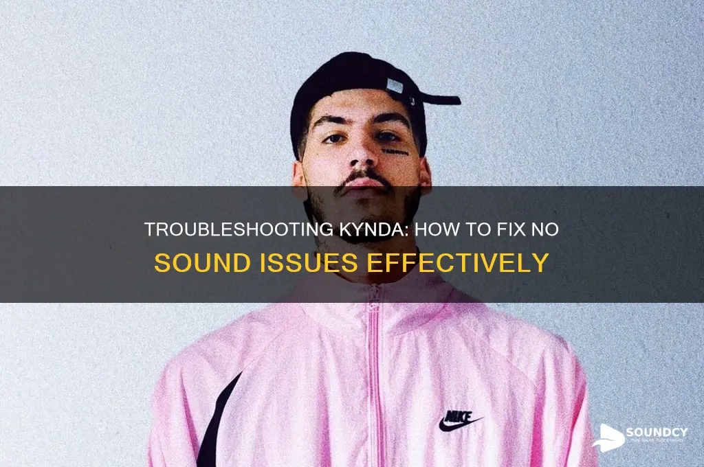 have no sound on kynda