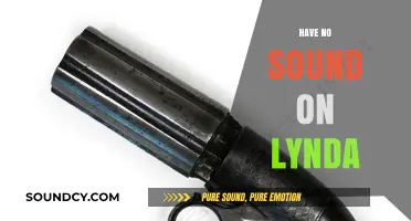Troubleshooting Lynda: Quick Fixes for No Sound Issues on Courses