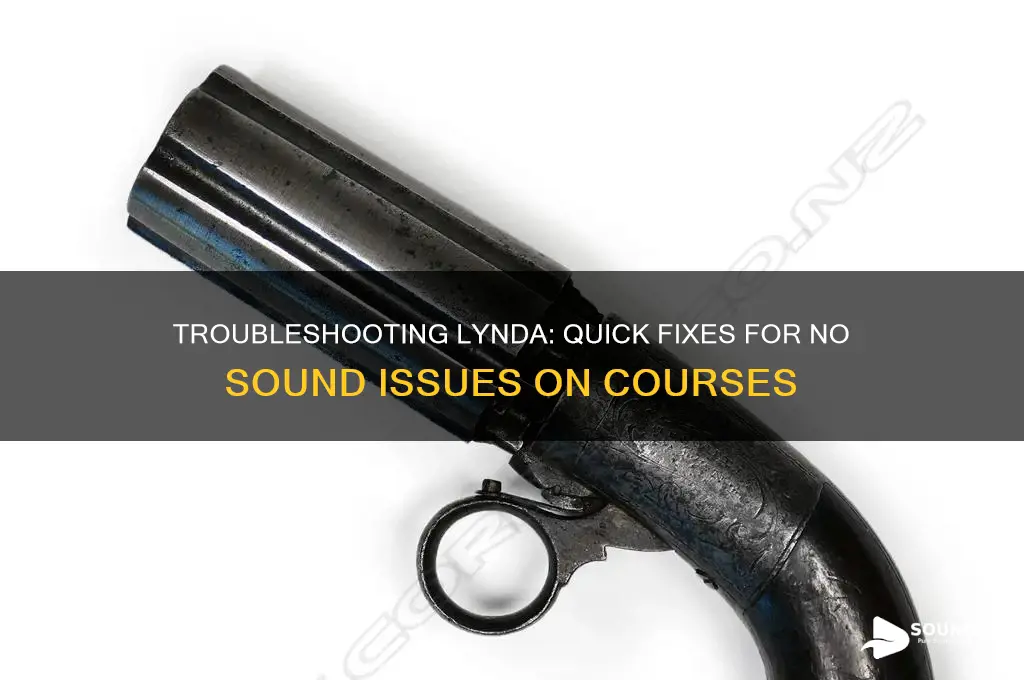 have no sound on lynda