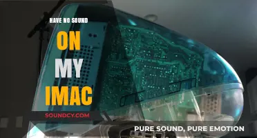 Fixing Audio Issues on iMacs: No Sound