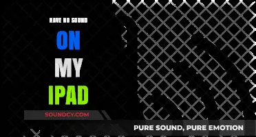 Fixing iPad Sound Issues: No Audio