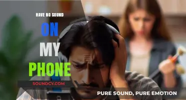 Fixing Phone Audio: Get Your Sound Back