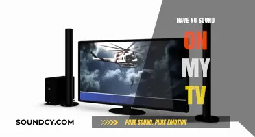Fixing TV Sound: Troubleshooting No Audio
