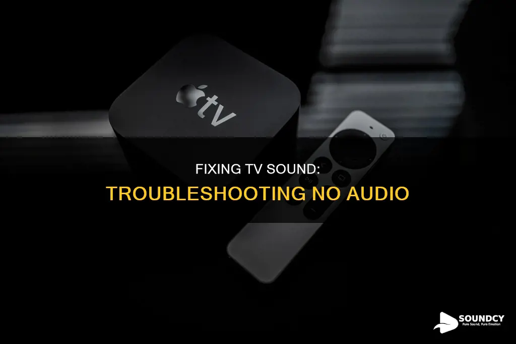have no sound on my tv