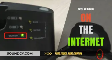 Fixing the Internet's Silence: Troubleshooting Audio Issues