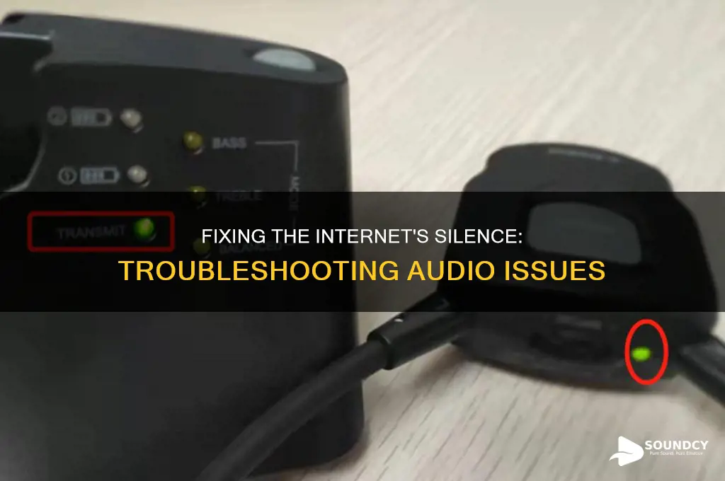 have no sound on the internet