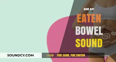 Understanding Bowel Sounds: What It Means When You Haven't Eaten