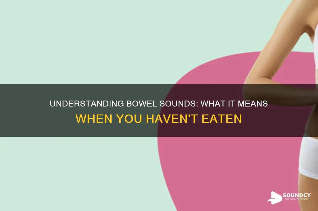 have not eaten bowel sound