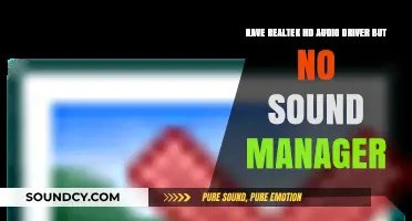 Realtek HD Audio Driver Installed, Sound Manager Missing: Solutions