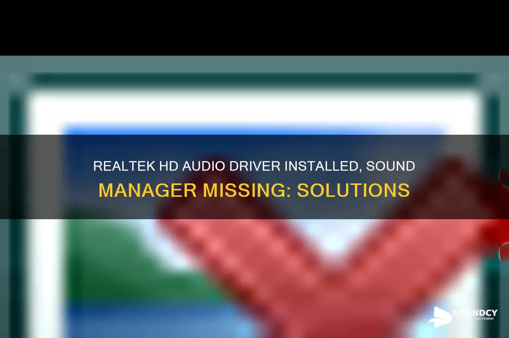 have realtek hd audio driver but no sound manager