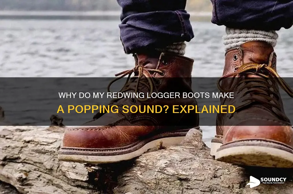 have redwing logger boots they making a poping sound