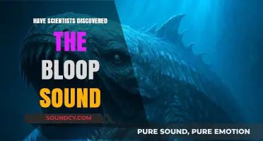 Scientists Still Baffled by the Bloop Mystery