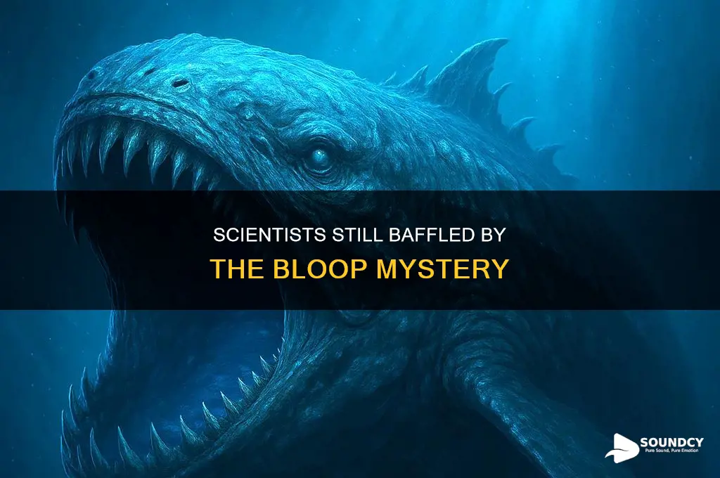 have scientists discovered the bloop sound