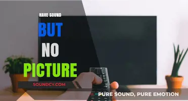 Sound But No Picture: Troubleshooting TV Display Issues Effectively