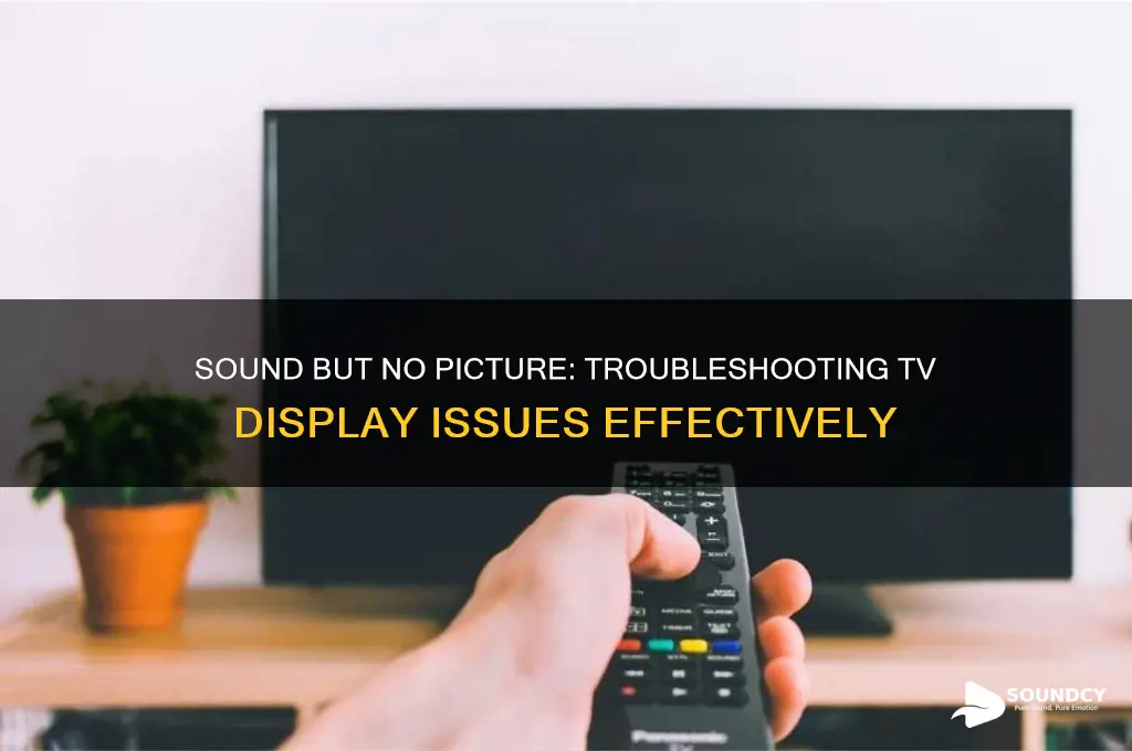 have sound but no picture