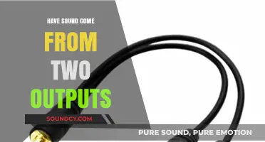 Dual Audio Output: How to Have Sound From Two Outputs