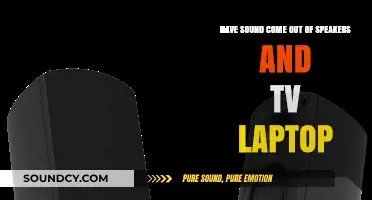 How to Connect Speakers, TV, and Laptop for Seamless Audio Output