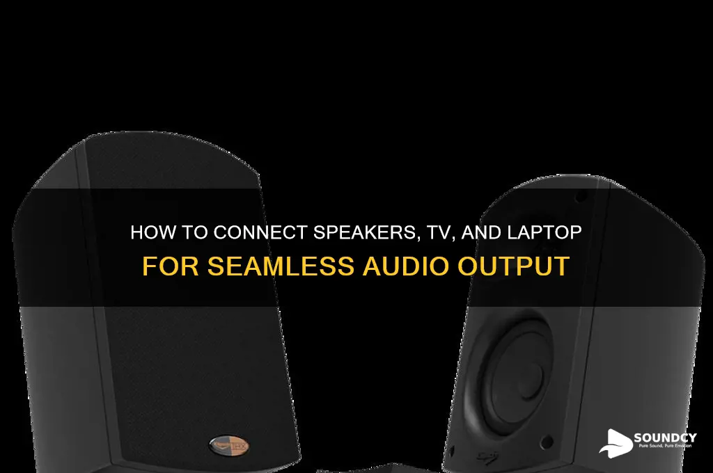 have sound come out of speakers and tv laptop