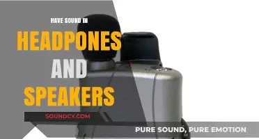 Headphones and Speakers: Enjoying Audio Your Way