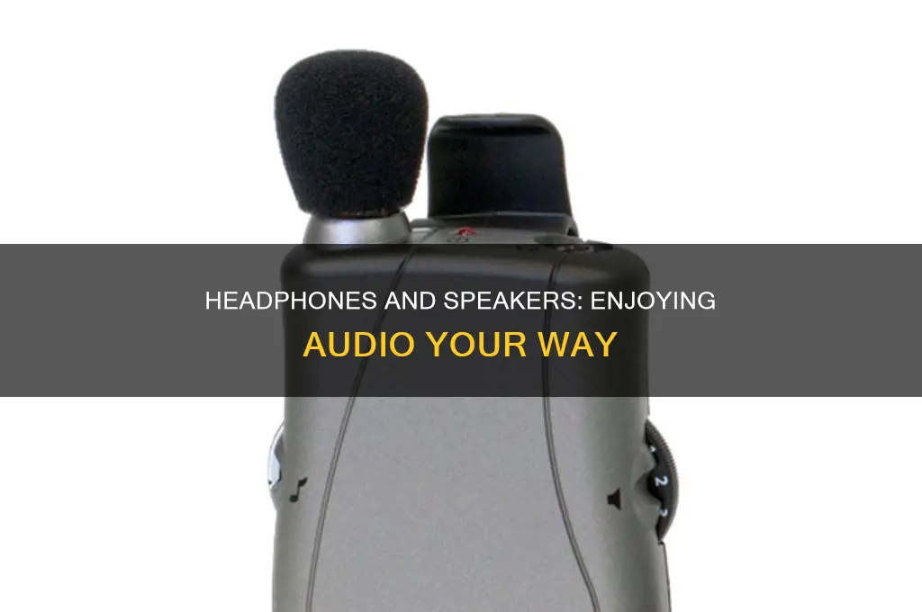 have sound in headpones and speakers