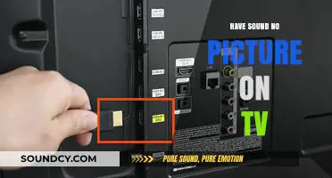 TV Troubleshooting: Sound but No Picture
