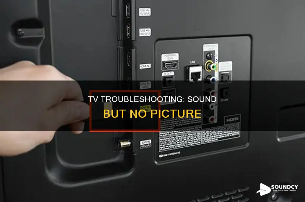 have sound no picture on tv