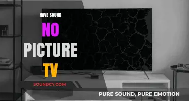 TV Has Sound But No Picture? Troubleshooting Tips to Fix Your Screen