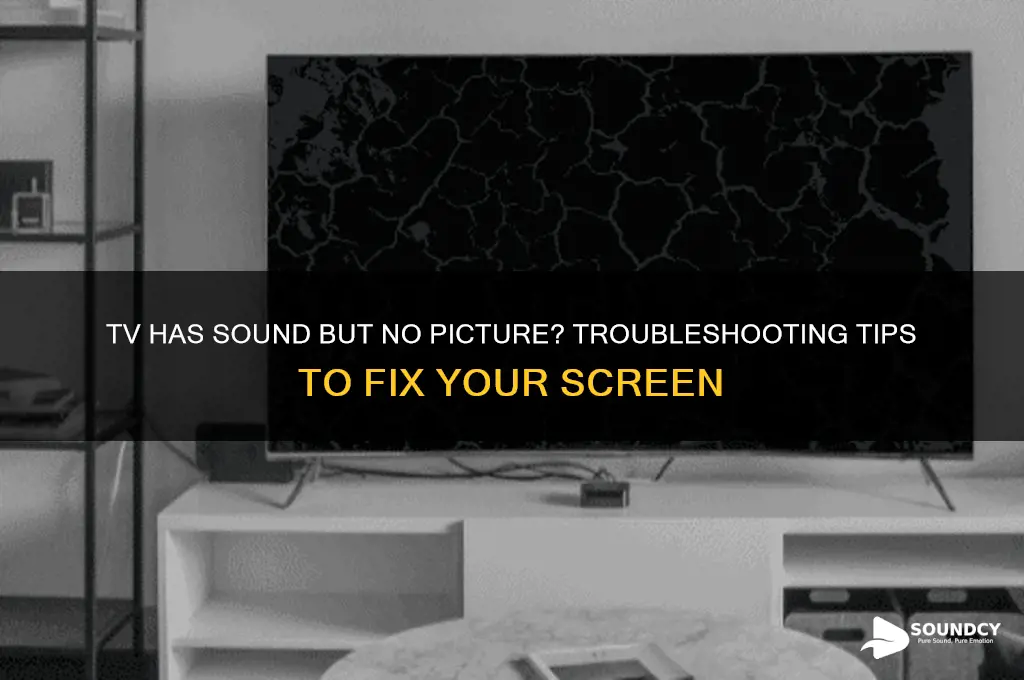 have sound no picture tv