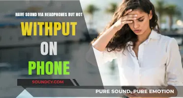 Fixing Phone Audio: Why Headphones Work But Speakers Don't