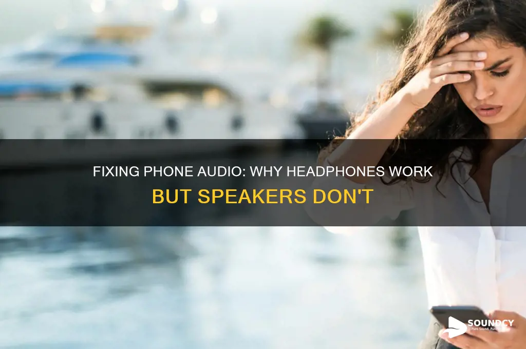 have sound via headphones but not withput on phone