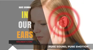Unraveling the Mystery of Persistent Ear Sounds: Causes and Solutions