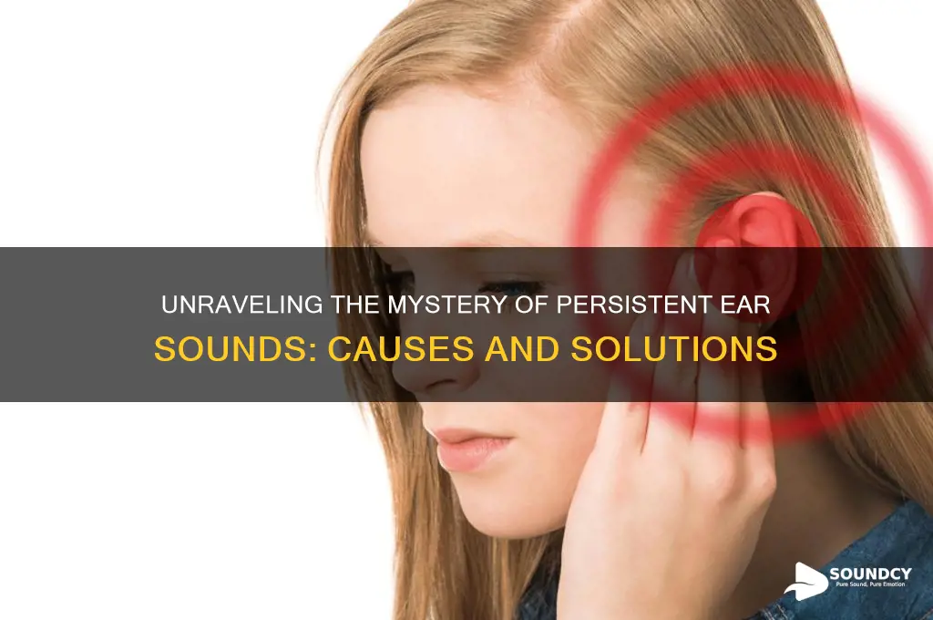 have sounds in our ears