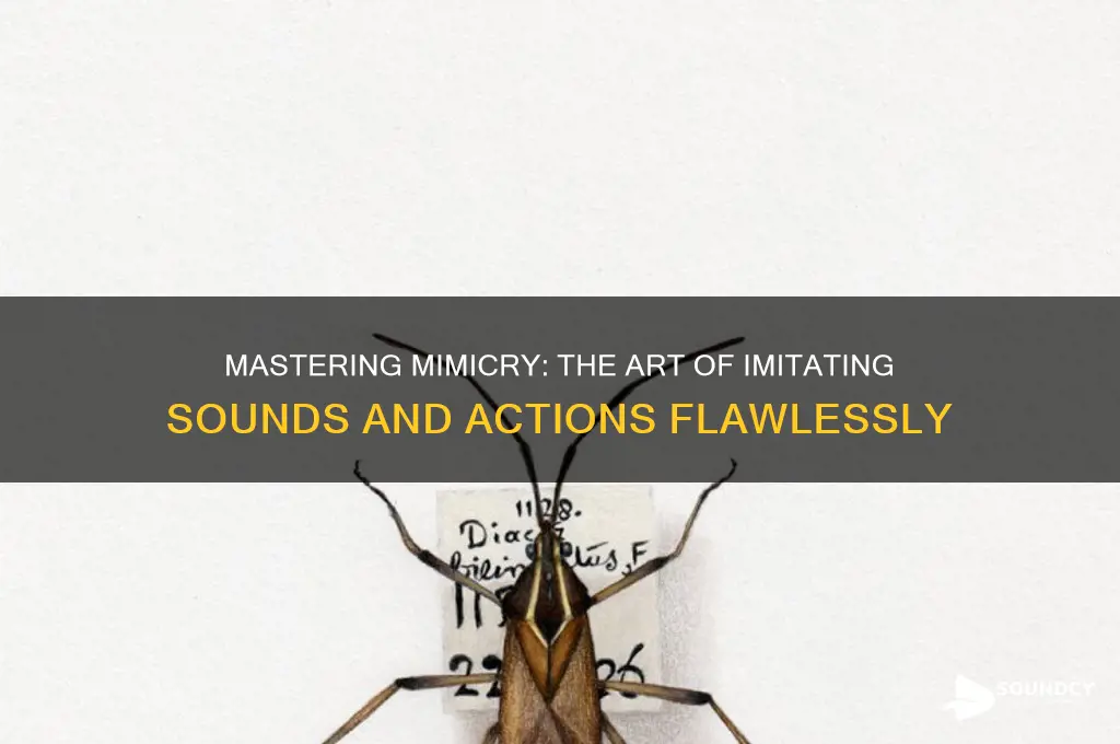 have the ability to imitate both sounds and actions