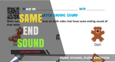 Rhyme and Reason: Exploring Words with Matching End Sounds