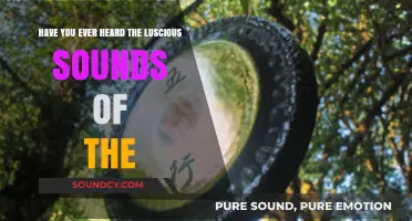 Experience the Luscious Sounds of the Forest: A Sonic Journey