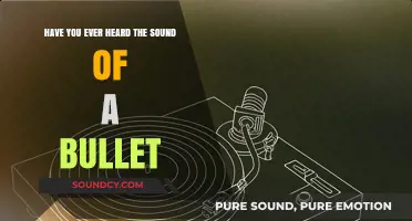 The Haunting Echo: Experiencing the Sound of a Bullet