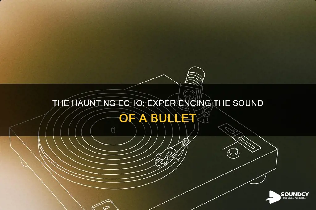 have you ever heard the sound of a bullet