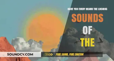 Discover the Luscious Sounds of the Forest: A Symphony of Nature