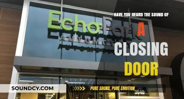 The Haunting Echo: Reflecting on the Sound of a Closing Door