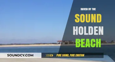A Beachside Haven: Holden's Oceanfront Escape
