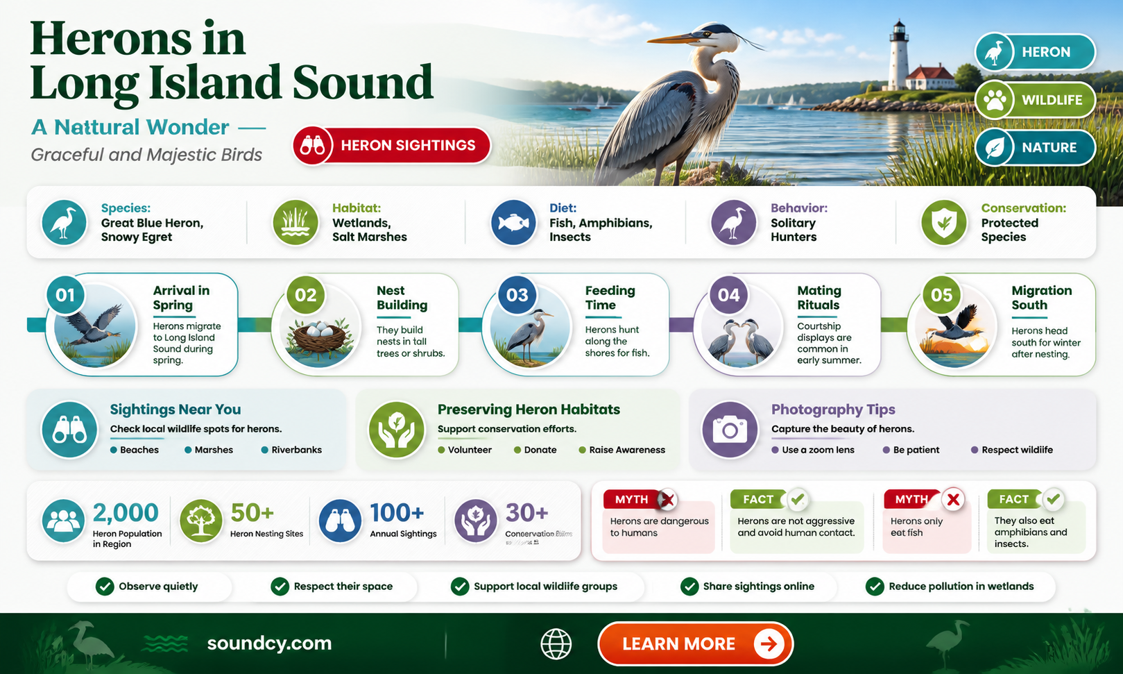 are herons in long island sound