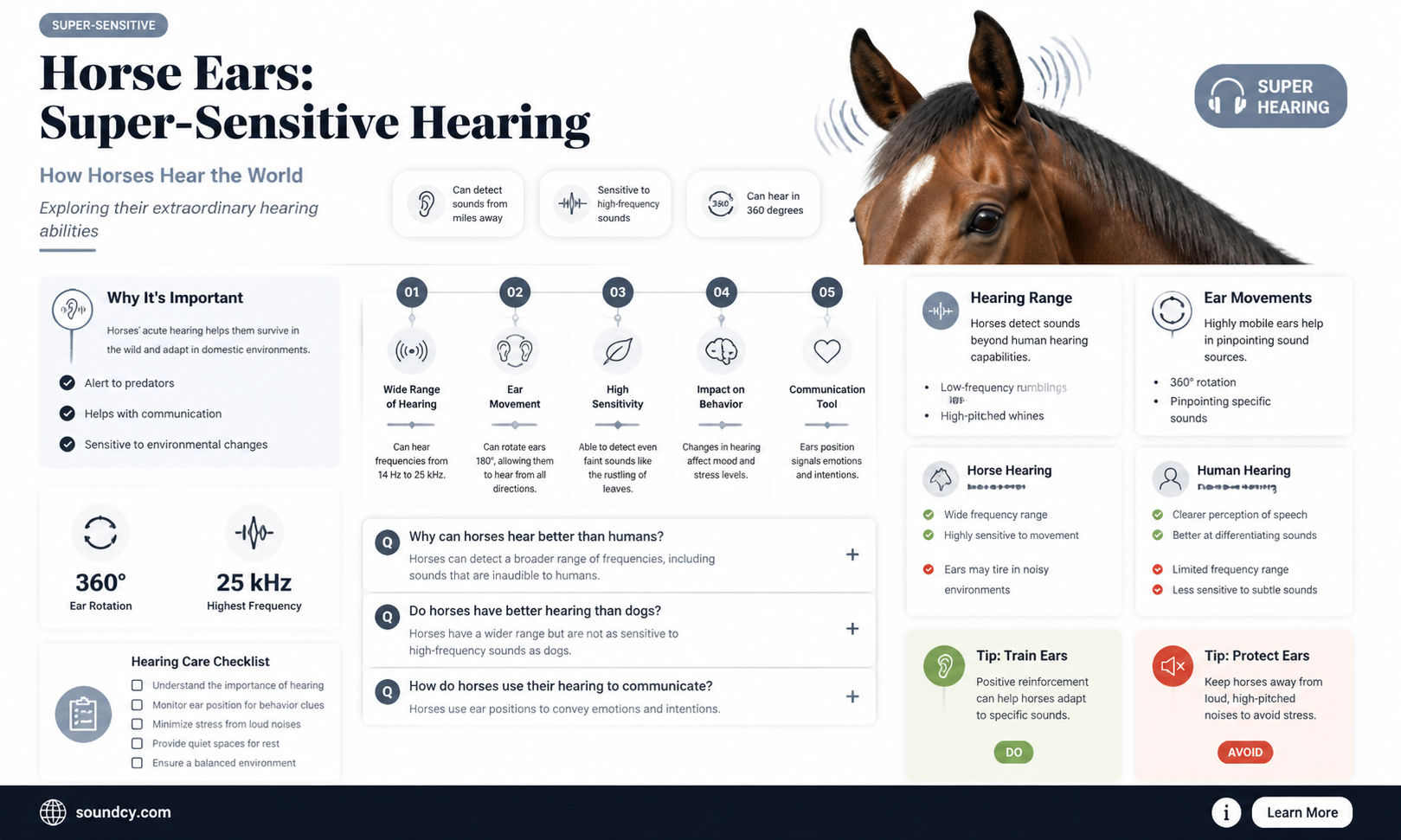 are horse ears sensitive to sound