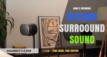 Speakers in Sync: Surround Sound Basics