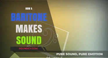 Unveiling the Rich Resonance: How Baritone Voices Produce Sound