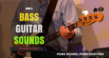 Understanding the Rich, Deep, and Versatile Sound of a Bass Guitar