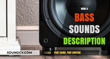 Understanding the Deep, Rich, and Vibrant Sound of a Bass