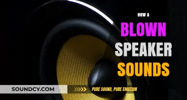 What Does a Blown Speaker Sound Like? A Comprehensive Guide