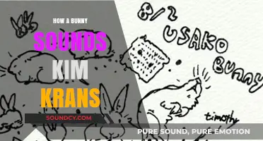 Bunny Noises: Kim Krans' Creative Process